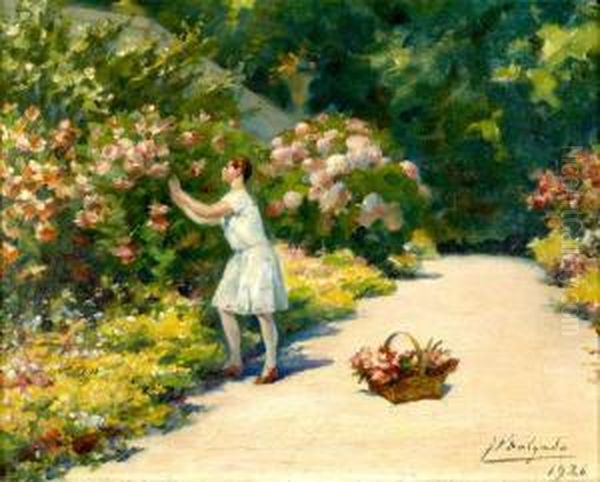 Colhendo Flores - view 1