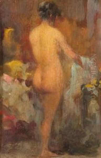 Nudo Al Bagno - view 1