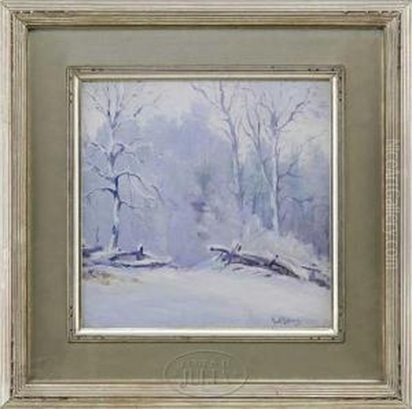 The Snow Storm - view 1