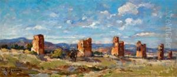 Ruines De Mansourah (tlemcen) - view 1