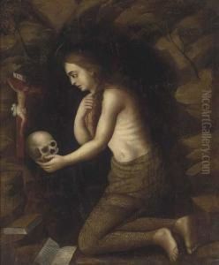 Magdalena In The Desert