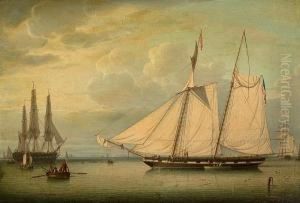 The American Revenue Schooner