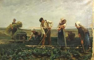 The Turnip Field by Hugo Salmson