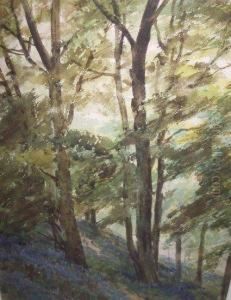 Bluebell Wood by Frank Saltfleet