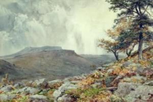 Carls Walk And Higgar Tor by Frank Saltfleet