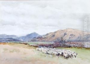 Shepherd And Flock Of Sheep In A Valley by Frank Saltfleet
