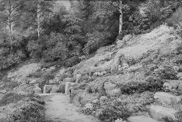 The Summer Garden - view 1