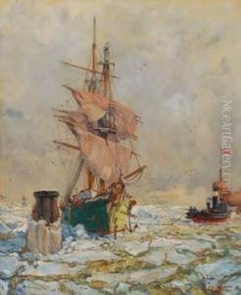 Im Treibeis Der Unterelbe - view 1