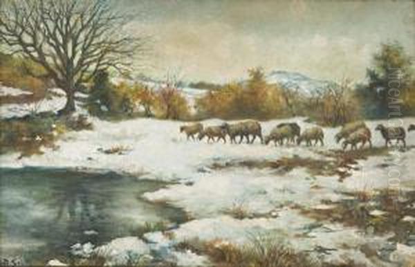 Pascolo Sulla Neve - view 1