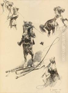 Buying A Horse; The Hunting Dog; And Training A Horse