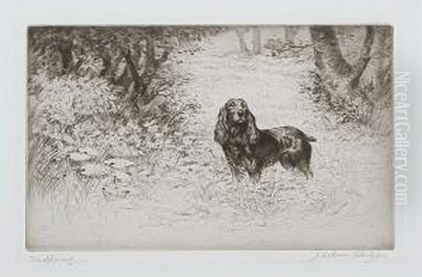 'the Spaniel'; 'setters' - view 1
