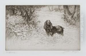 'the Spaniel'; 'setters' by Jackson Samson