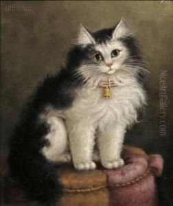 Portrait Of A Cat On A Tuffet