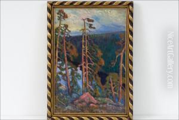 "sysimetsa - Urskog". - view 1