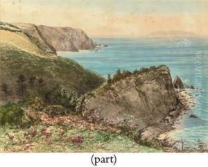 On The Cliffs On The Cliffs