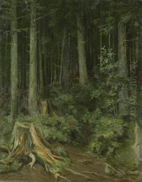 Waldstudie - view 1