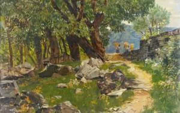 Wohl Landschaft Im Tessin - view 1