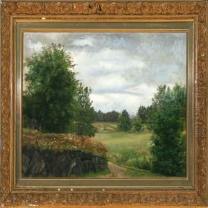 Field Landscape