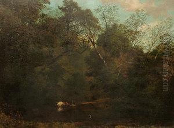 Cattle Watering In A Woodland Pond - view 1