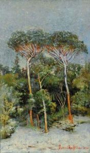 Pineta by Francesco Raffaello Santoro