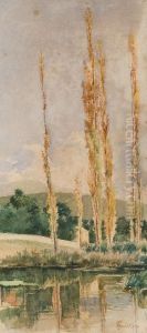 Paesaggio