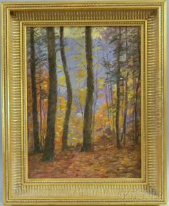 Sunlight Through The Fall Trees by Daniel Francois Santry