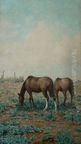 Caballos - view 1