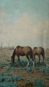 Caballos