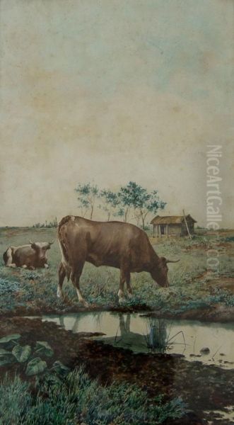 Vacas - view 1