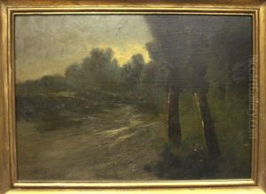 Bosque by Tomas Sanz