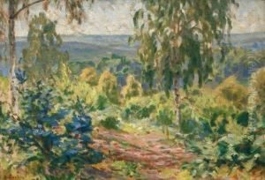 Garrigue Garrigue