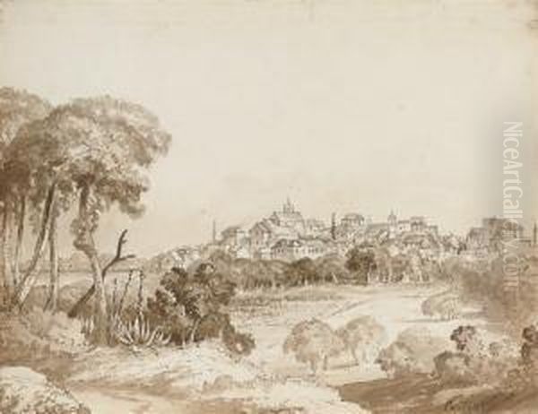 Cartaxo - view 1
