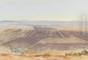 The Plains Of Nazareth