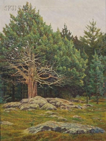 Woodland View, Spring - view 1
