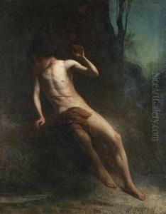 Narcissus