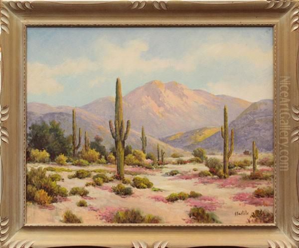 Desert Landscape - view 1