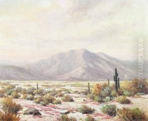 Desert Landscape