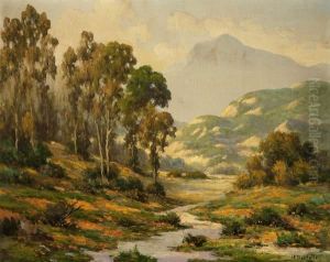 Eucalyptus And Wildflower Landscape
