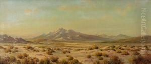 Desert Landscape