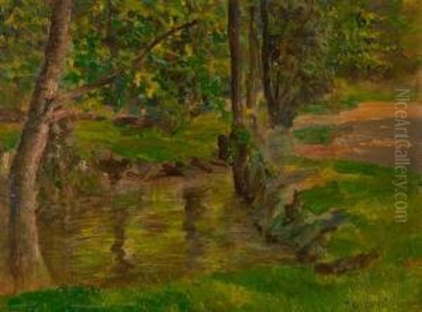 Bosco - view 1
