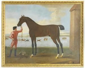 Mr. E. Coke's Hobgoblin Being Held By A Groom On Newmarket Heath