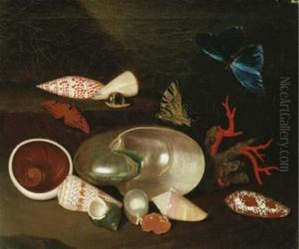 A Still Life Of Shells And Butterflies: A Nautilus, A Horse Conch, A Pearl Oyster, An Atlantic Bubble, A Green Turban, An Alphabet Cone, A Muffin Snail, A Chambered Nautilus, A Gulf Frittillary, A Junonia, A Tiger Cowrie, A Virgin Cone, A Blue Morpho, A L - view 1