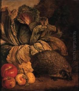 A Hedgehog, A Cabbage And Apples At The Foot Of A Tree