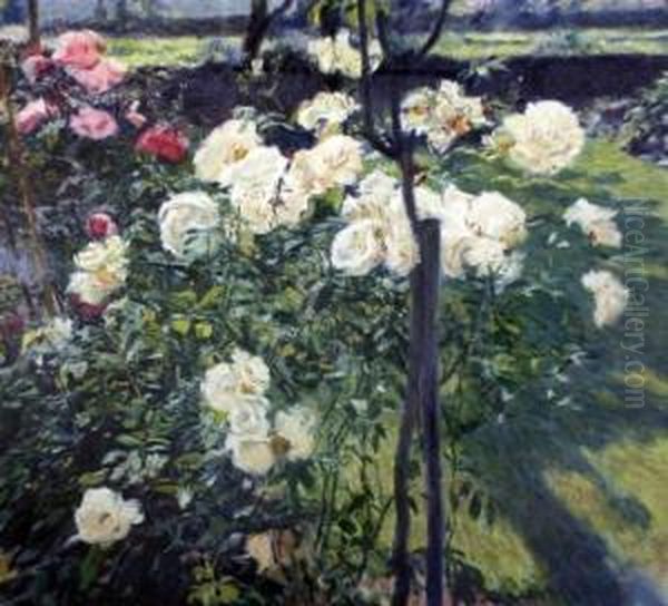 Roses In A Garden - view 1