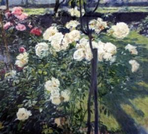Roses In A Garden Roses In A Garden