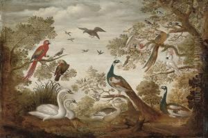 Swans, Peacocks, Parrots, A Cockatoo, A Goose And Other Birds In Alandscape
