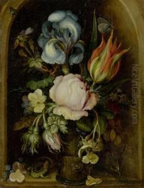 Still Life - view 1