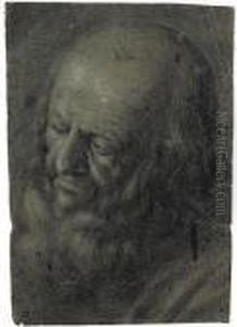 Portrat Eines Bartigen Mannes by Giovanni Girolamo Savoldo