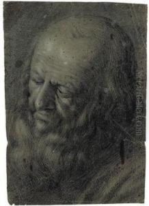 Portrateines Bartigen Mannes by Giovanni Girolamo Savoldo