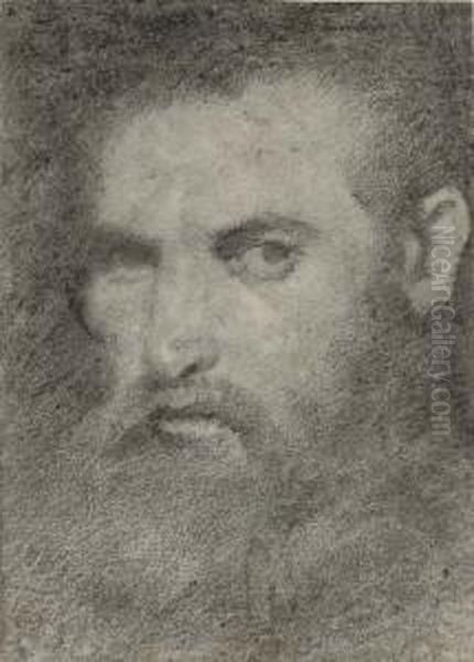 Head Of A Bearded Man, In Three-quarter Profile To The Left - view 1